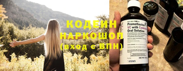 круглые Пересвет