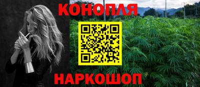 a pvp Гатчина