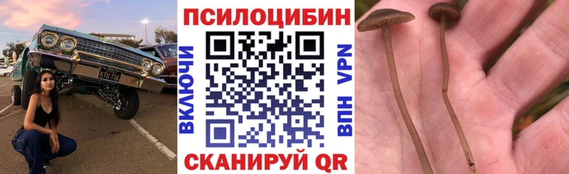 Псилоцибиновые грибы мухоморы  Ртищево 