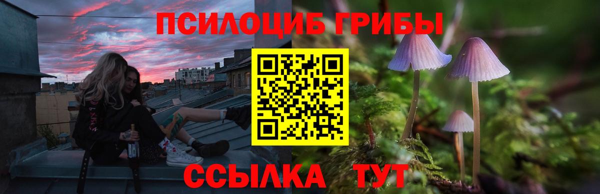 Ртищево  Галлюциногенные грибы Psilocybe  Псилоцибиновые грибы Psilocybine cubensis  купить наркоту  Вход с VPN 